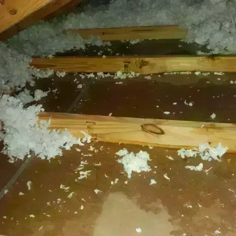 Attic Water Damage in De Witt County, IL