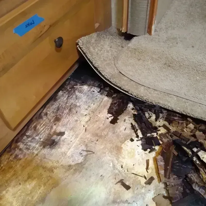 Wood Floor Water Damage in De Witt County, IL